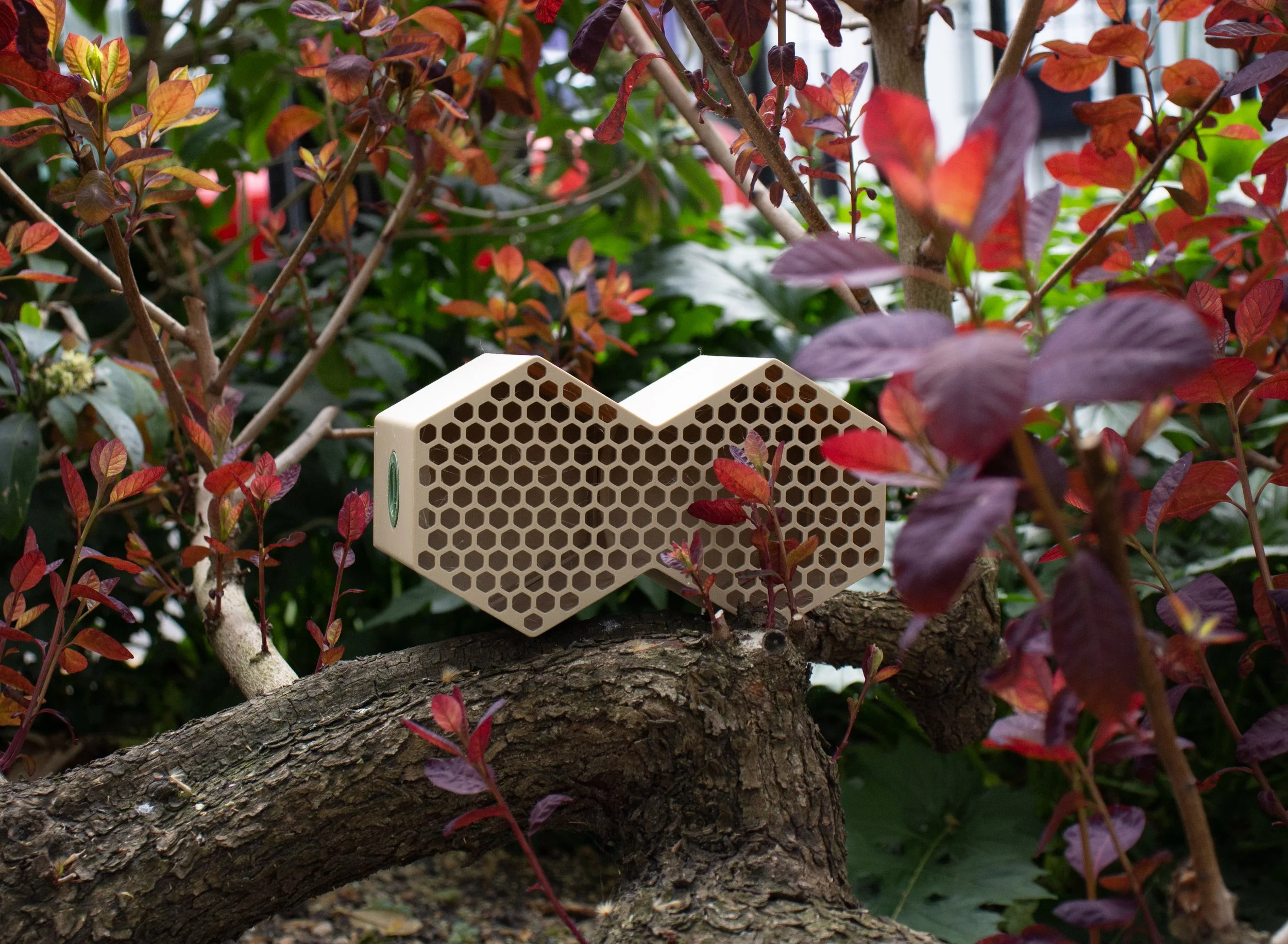 Shop — HEX Gardens